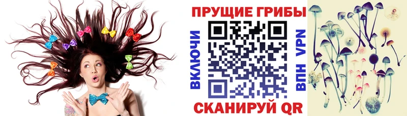 Купить где  Правдинск  Псилоцибиновые грибы GOLDEN TEACHER 