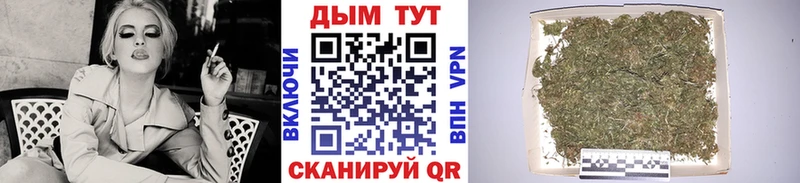 Бошки марихуана гибрид Купить Правдинск